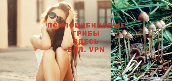 СК Магадан