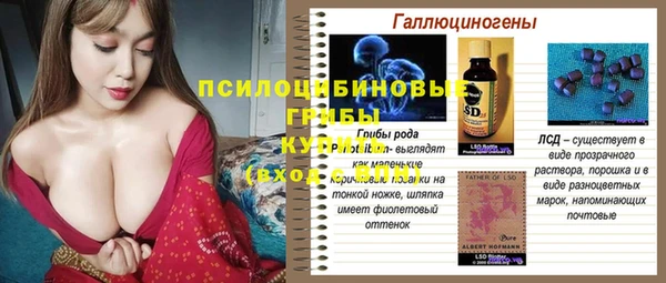 сатива Липки